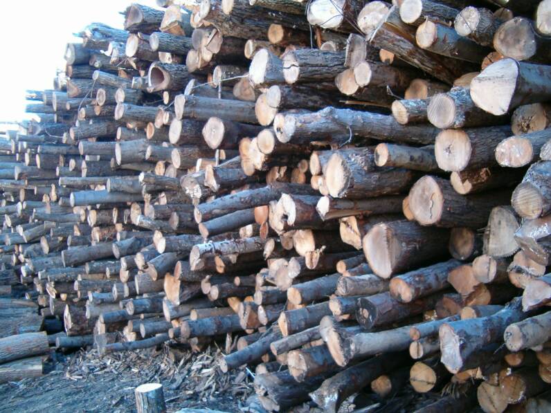 Kiln Dried Firewood